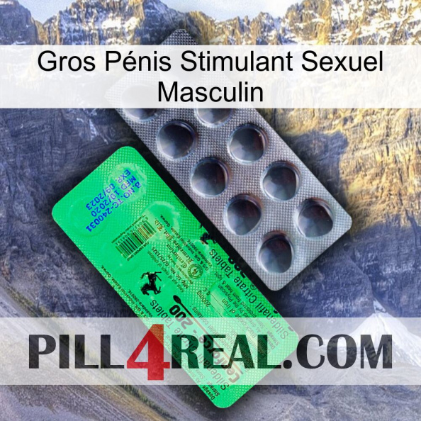 Gros Pénis Stimulant Sexuel Masculin new04